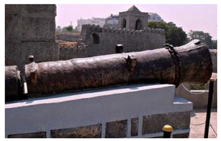 Cannon (Firangi)